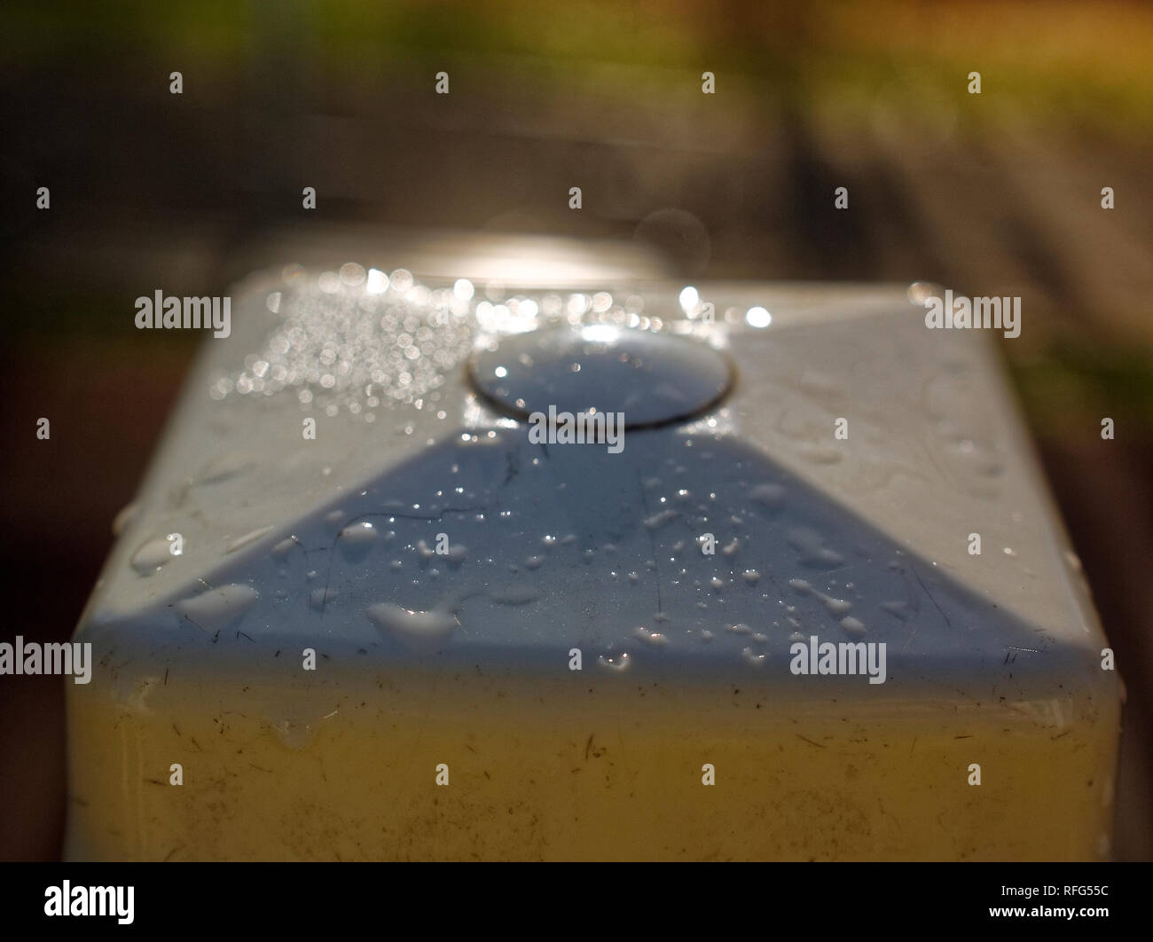 Le gocce di umidità su una colonna di legno, macro Foto Stock