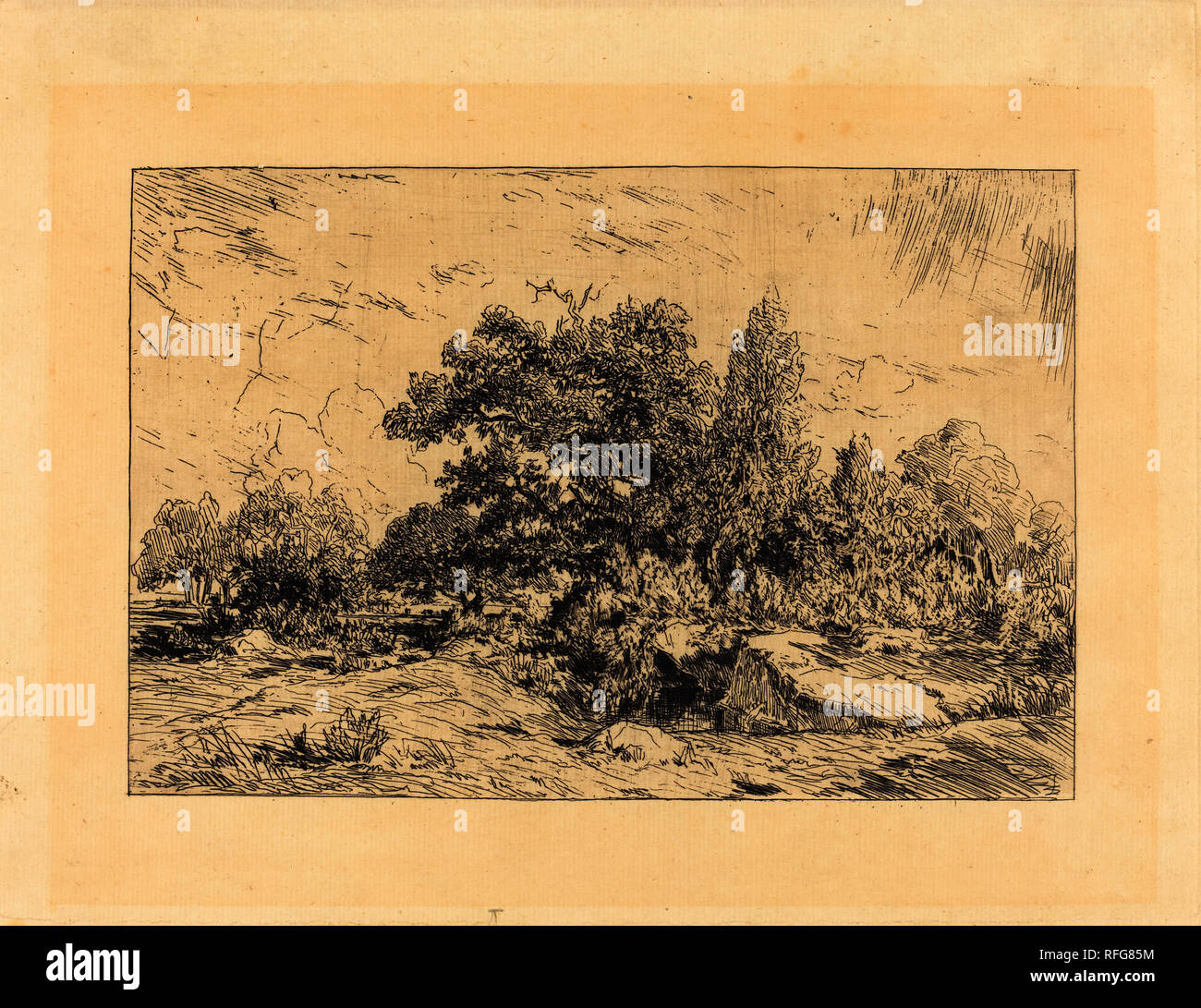 Vue du Plateau de Bellecroix. Data: 1848-1849. Medio: l'attacco. Museo: National Gallery of Art di Washington DC. Autore: Theodore Rousseau. Foto Stock