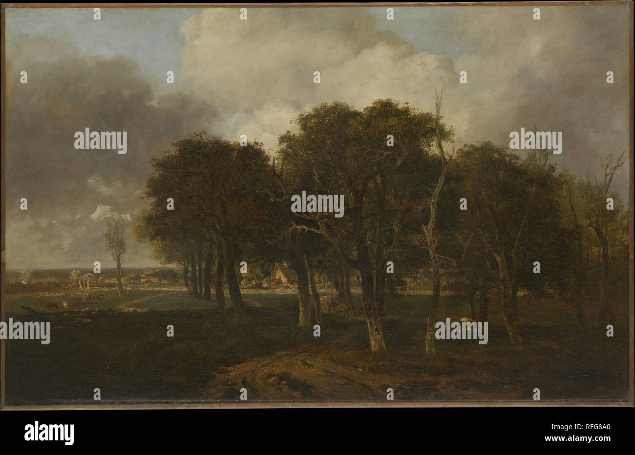 Hautbois comune, Norfolk. Artista: John Crome (British, 1768-1821 Norwich Norwich). Dimensioni: 22 x 35 in. (55,9 x 88,9 cm). Data: probabilmente ca. 1810. Comune Hautbois giace vicino ai villaggi di grande Hautbois e Coltishall, circa otto miglia a nordest di Crome nativo di Norwich. Sebbene il motivo era uno che egli deve avere visto, la composizione inoltre suggerisce fortemente l'influenza del seicentesco pittore olandese Meyndert Hobbema. È molto probabile che questa opera è stata esposta presso la società di Norwich di artisti nel 1810 come <i>sulla scena Hautbois comune, vicino Coltishall, Norfolk</i>. Museo: Foto Stock