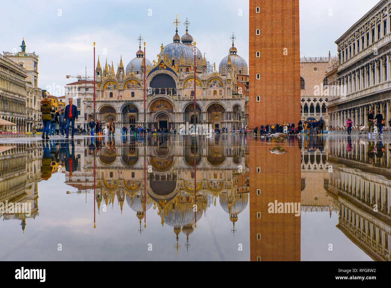 La riflessione di la Basilica di San Marco e Campanile di San Marco (Piazza San Marco), Venezia, Italia Foto Stock