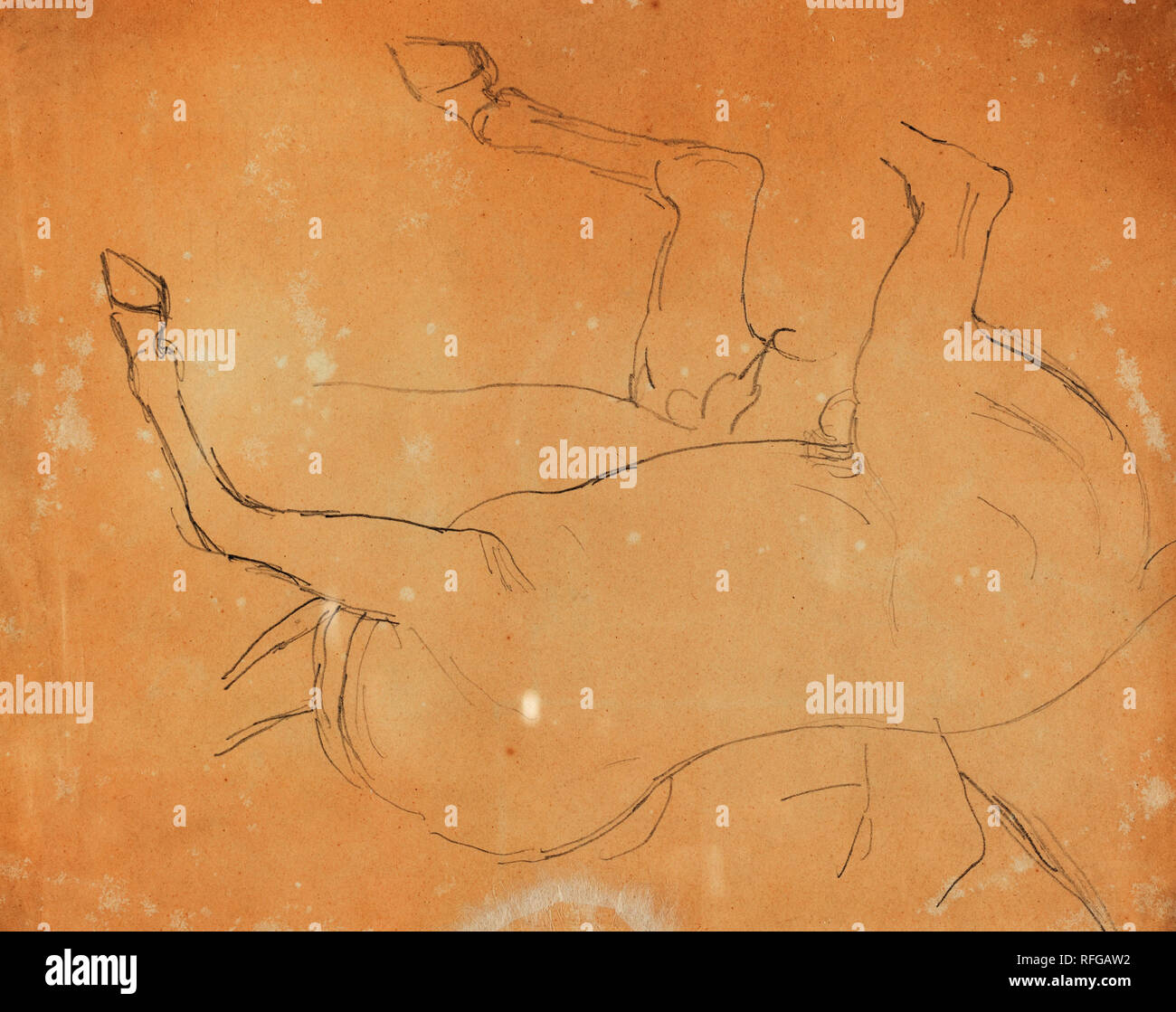 Studio di un cavallo [tergo]. Data: dopo il 1807. Medium: grafite su carta intessuta. Museo: National Gallery of Art di Washington DC. Autore: William Etty. Foto Stock