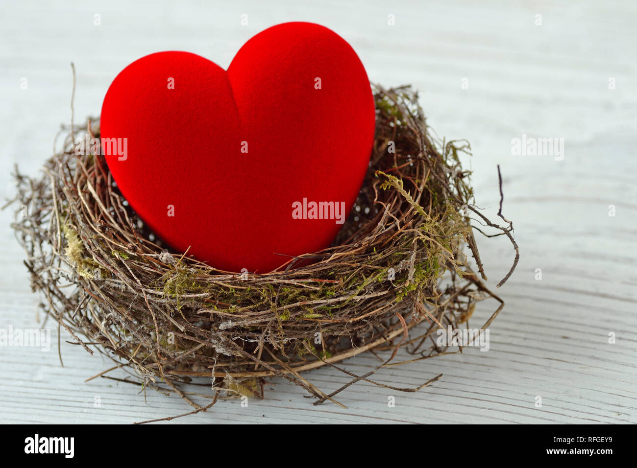 Cuore rosso nel nido - Amore e il concetto di protezione Foto Stock