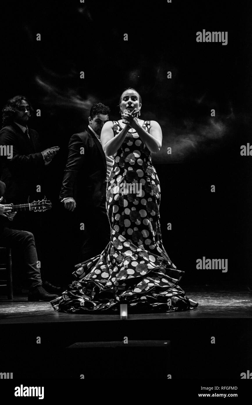 "Emociones' Spettacolo di Flamenco, Teatro Flamenco Madrid, gennaio 2019 Foto Stock