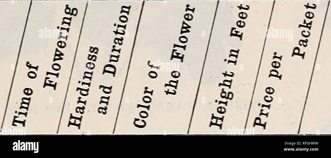 . Thorburn's semi : 1900. Vivaio nello Stato di New York) cataloghi; sementi cataloghi; semi di ortaggi cataloghi; fiori Semi cataloghi. Catalogo di High-Class semi. 81 semi di fiori. £ S=Per semi di esecuzione: vigne, zucche, Everlastings e Graminacee ornamentali, vedere la fine di semi di fiori. "S=semi di fiori consegnati gratuitamente per posta sulla ricevuta del prezzo dichiarato. ti^Vedere la spiegazione delle figure e dei segni, a pagina 80. Numero e nome. © '^£oz. a oz. tasso solo sugli articoli citati a I 1 $ per oz. e oltre. I. Osservazioni generali. cts. hA rose trai. 5 5 yel. 5 gs d. rosso 4 25 25 25 25 misti yel. 6 10 10 10 10 Foto Stock