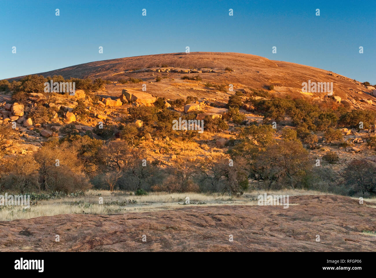 Main Dome all'alba, Enchanted Rock state Natural Area, nella Hill Country vicino Fredericksburg, Texas, Stati Uniti Foto Stock