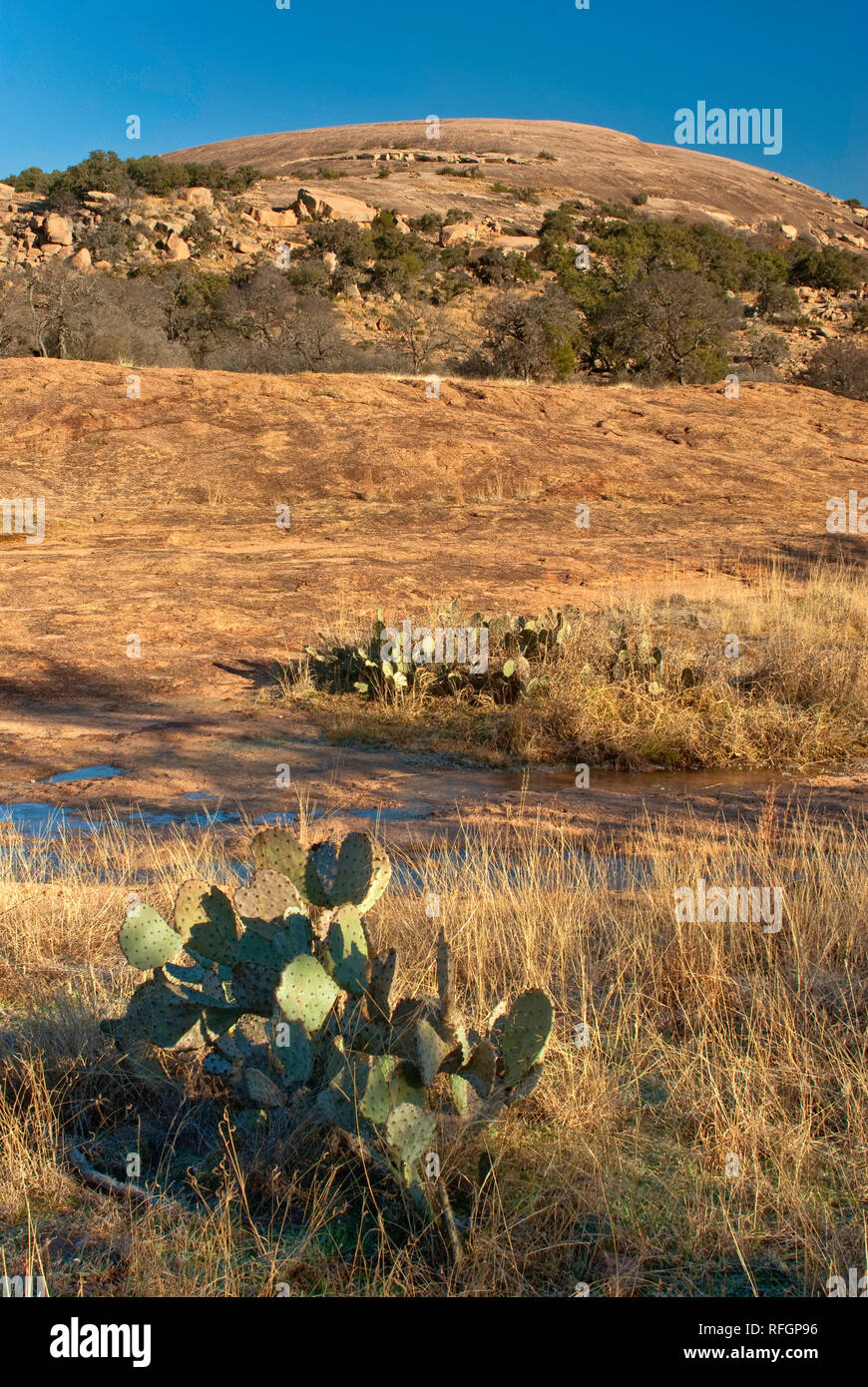 Cupola in roccia incantata Stato Area naturale, in Collina Paese vicino Fredericksburg, Texas, Stati Uniti d'America Foto Stock