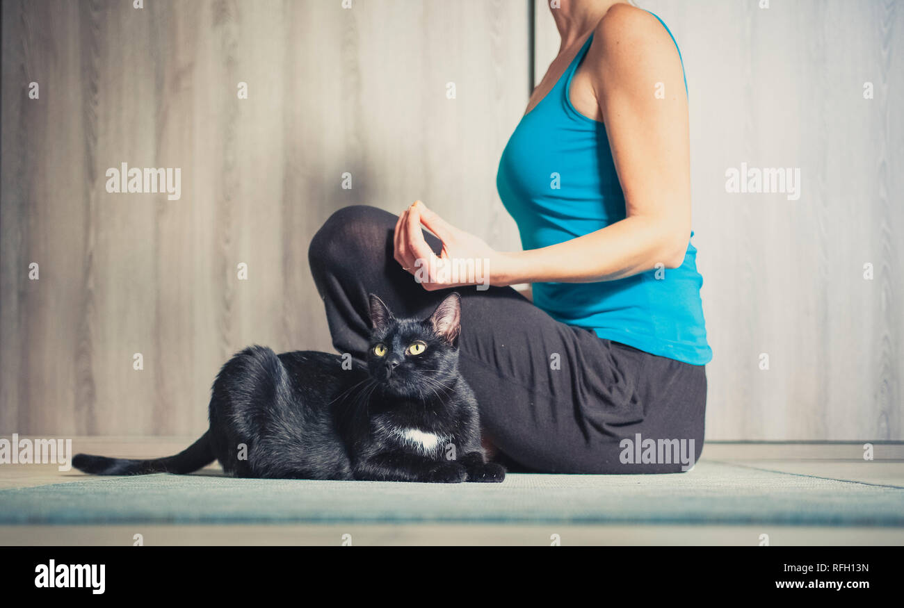 Donna fare yoga a casa - gatto nero seduto accanto a lei Foto Stock