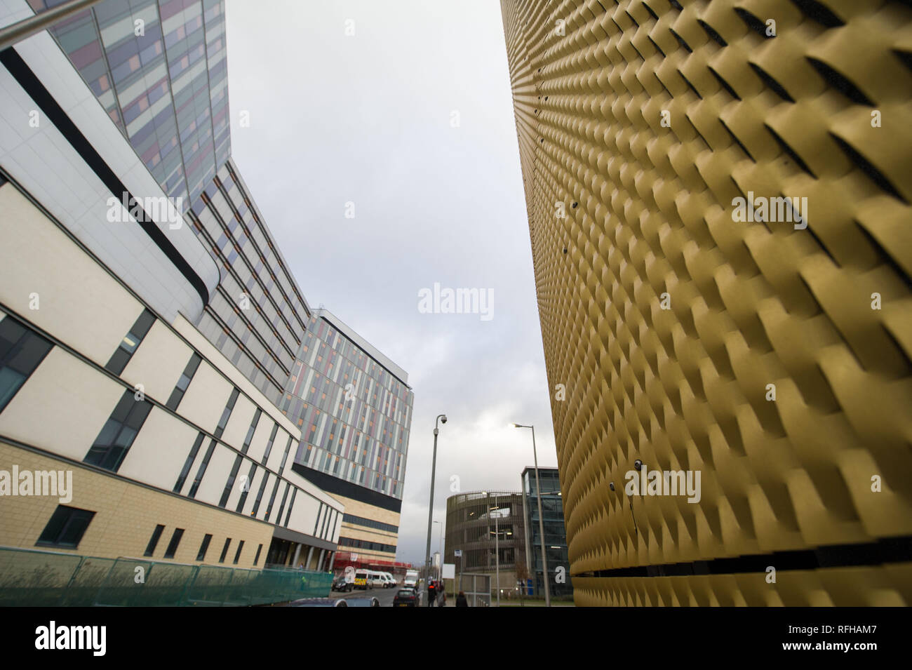 Glasgow, Scotland, Regno Unito. Il 25 gennaio 2019. Varie scene che mostrano differenti viste da intorno il Queen Elizabeth University Hospital. Ci sono stati 2 morti dei pazienti ha riportato di recente e che si ritiene siano legate alle infezioni contratte attraverso la pollina piccione. Credito: Colin Fisher/Alamy Live News Foto Stock