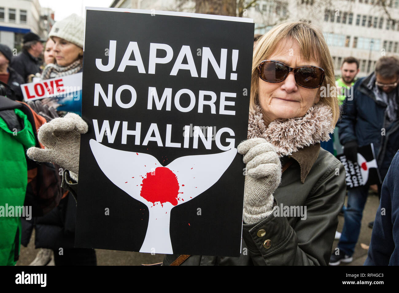 Londra, Regno Unito. Il 26 gennaio, 2019. I diritti degli animali gli attivisti preparare a prendere parte in Giappone: Nessun caccia alle balene marzo da Cavendish Square all'ambasciata giapponese a seguito del Giappone annuncio di ritirare dalla Commissione baleniera internazionale (IWC) e riprendere la caccia alle balene a fini commerciali con effetto dal luglio 2019. Il mese di marzo è stata organizzata dal Comitato di Londra per la soppressione della caccia alla balena. Credito: Mark Kerrison/Alamy Live News Foto Stock