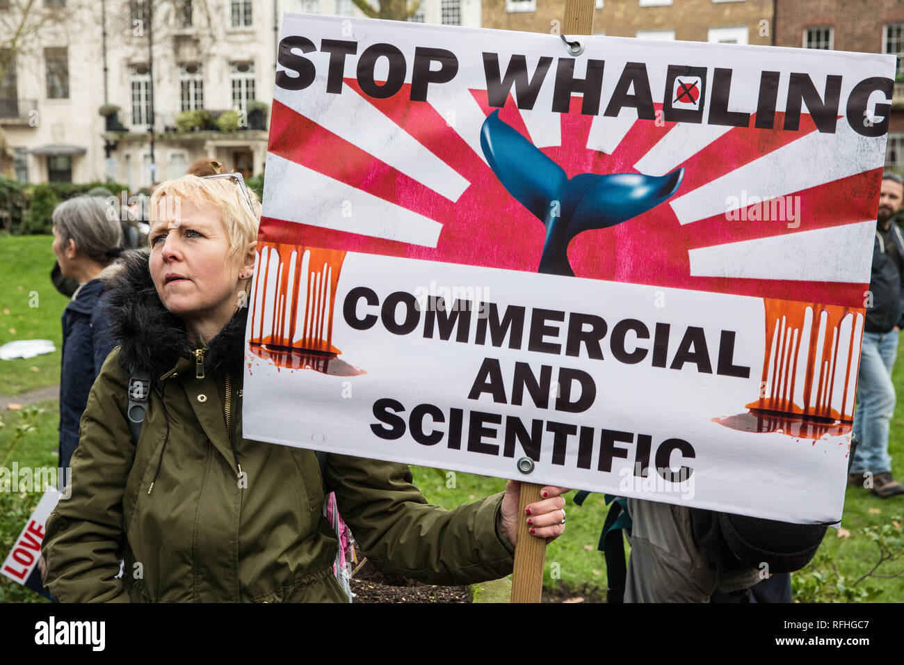 Londra, Regno Unito. Il 26 gennaio, 2019. I diritti degli animali gli attivisti preparare a prendere parte in Giappone: Nessun caccia alle balene marzo da Cavendish Square all'ambasciata giapponese a seguito del Giappone annuncio di ritirare dalla Commissione baleniera internazionale (IWC) e riprendere la caccia alle balene a fini commerciali con effetto dal luglio 2019. Il mese di marzo è stata organizzata dal Comitato di Londra per la soppressione della caccia alla balena. Credito: Mark Kerrison/Alamy Live News Foto Stock