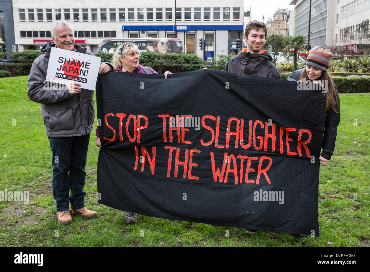 Londra, Regno Unito. Il 26 gennaio, 2019. I diritti degli animali gli attivisti preparare a prendere parte in Giappone: Nessun caccia alle balene marzo da Cavendish Square all'ambasciata giapponese a seguito del Giappone annuncio di ritirare dalla Commissione baleniera internazionale (IWC) e riprendere la caccia alle balene a fini commerciali con effetto dal luglio 2019. Il mese di marzo è stata organizzata dal Comitato di Londra per la soppressione della caccia alla balena. Credito: Mark Kerrison/Alamy Live News Foto Stock