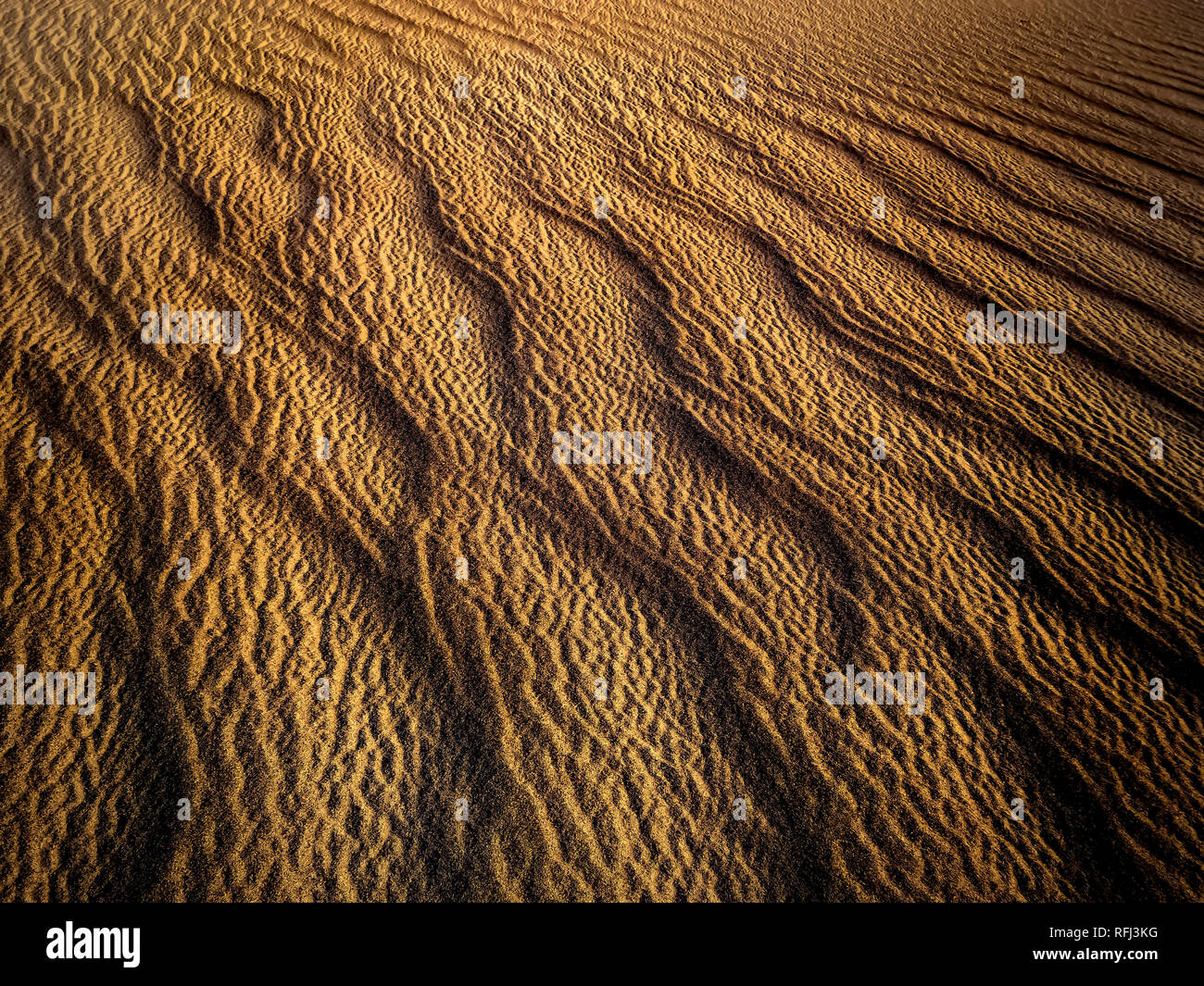 Golden riflette la luce del sole spento di sabbia al Parco Nazionale della Valle della Morte. L'intramontabile onde creano un unico pattern astratti. Foto Stock