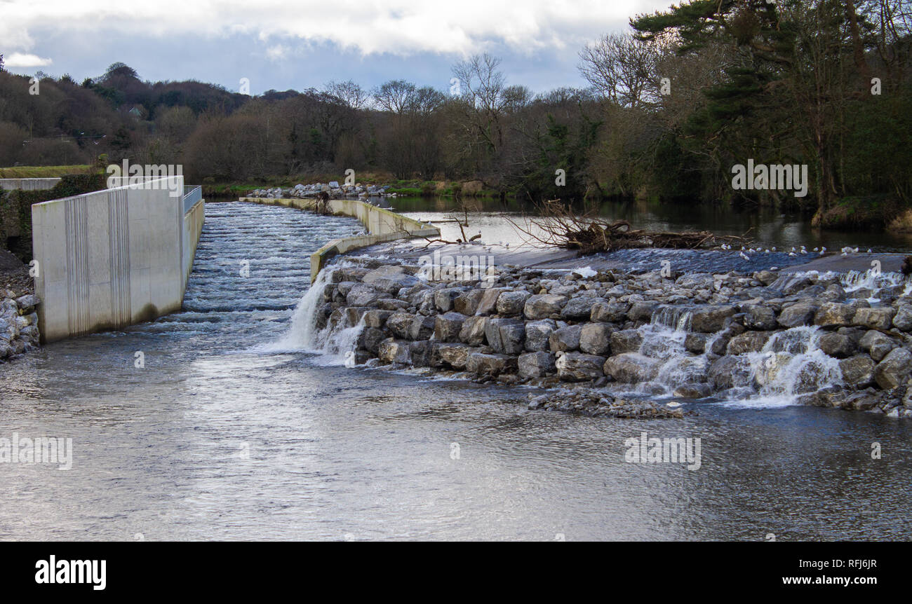 Scala di pesce Salmone o scala o scala di pesce sul fiume bandon West Cork in Irlanda Foto Stock