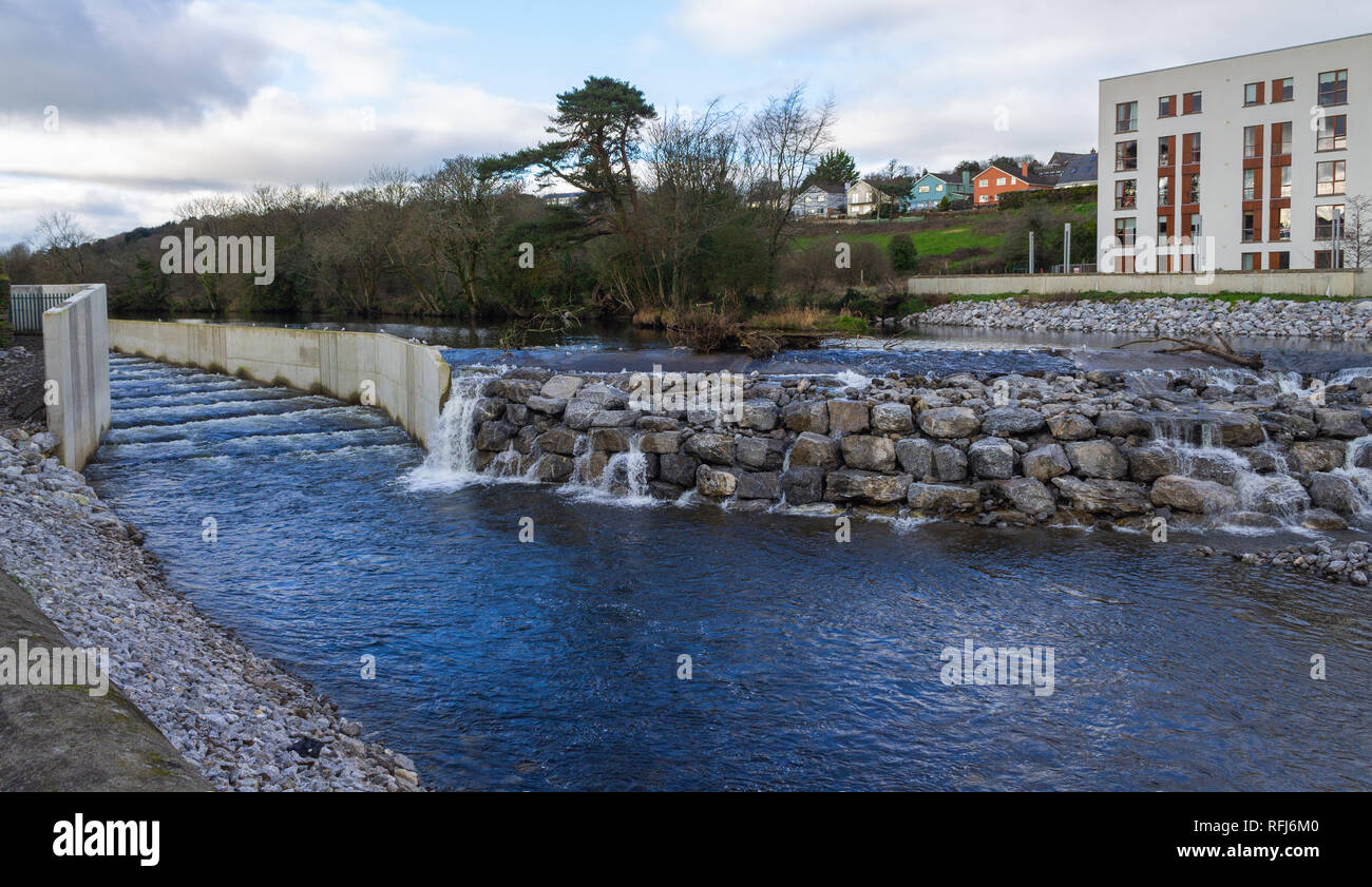 Scala di pesce Salmone o scala o scala di pesce sul fiume bandon West Cork in Irlanda Foto Stock