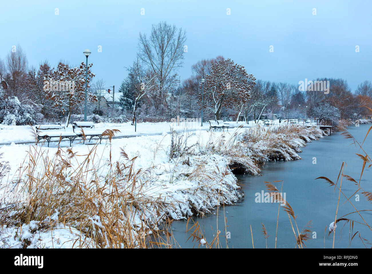 Incantevole paesaggio invernale con lago ghiacciato, coperta di neve alberi e panchine sul cielo blu sullo sfondo Foto Stock