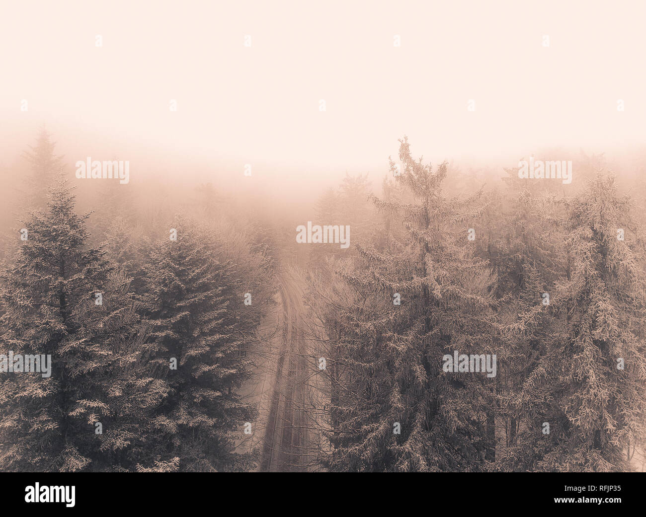 Vista aerea della nebbia e nevoso inverno bosco in montagna Foto Stock