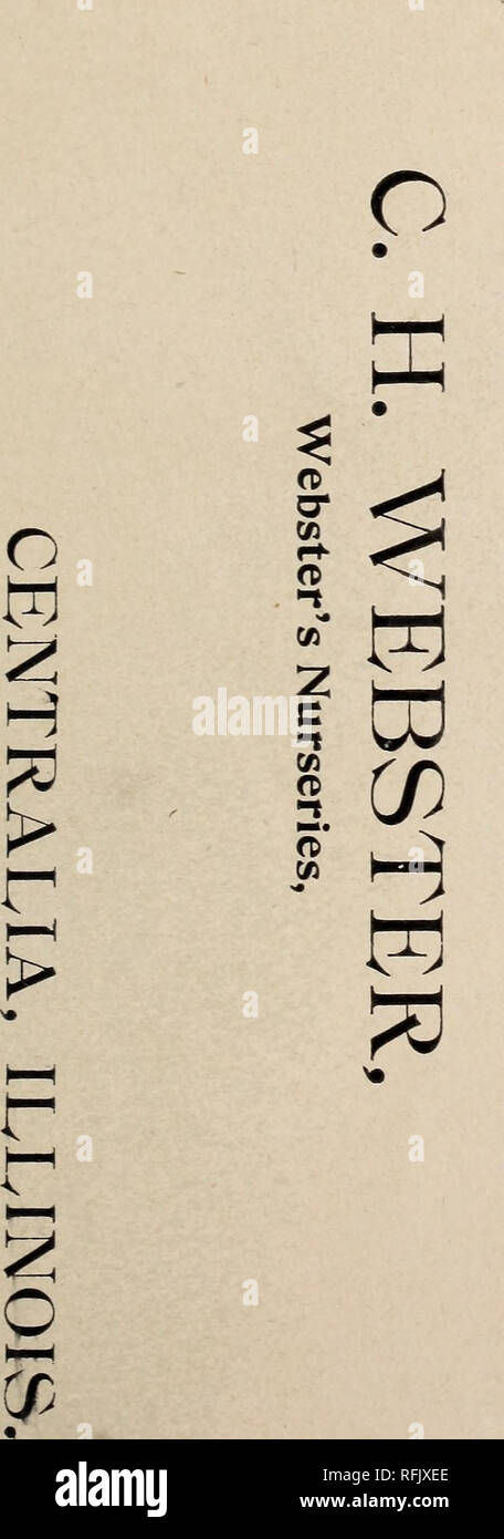 . Trentaduesima illustrato e catalogo descrittivo del Webster vivaio. Vivaio Illinois Cataloghi Cataloghi di frutta; alberi da frutto piantine cataloghi; piante ornamentali, cataloghi. . Si prega di notare che queste immagini vengono estratte dalla pagina sottoposta a scansione di immagini che possono essere state migliorate digitalmente per la leggibilità - Colorazione e aspetto di queste illustrazioni potrebbero non perfettamente assomigliano al lavoro originale. Webster vivai; Webster, C. H; Webster &AMP; Co. 'S vivai; Henry G. vivaio di Gilbert e il commercio di sementi Catalogo Collezione. Centralia, Ill. : Webster vivai Foto Stock