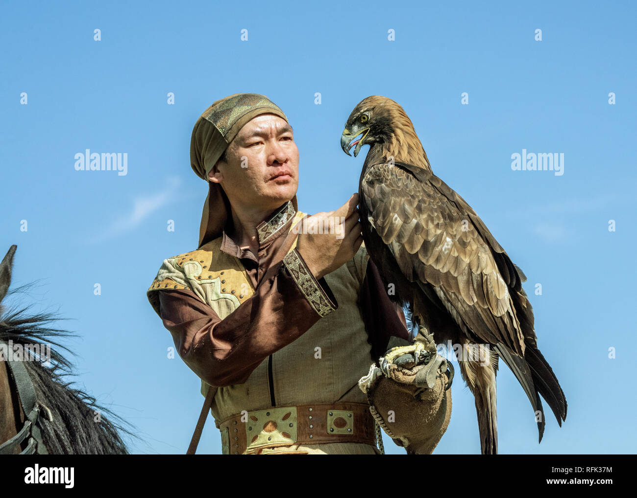 Il kazako eagle trainer legami con la sua aquila Sunkar Centro dei falchi, Almaty, Kazakhstan Foto Stock