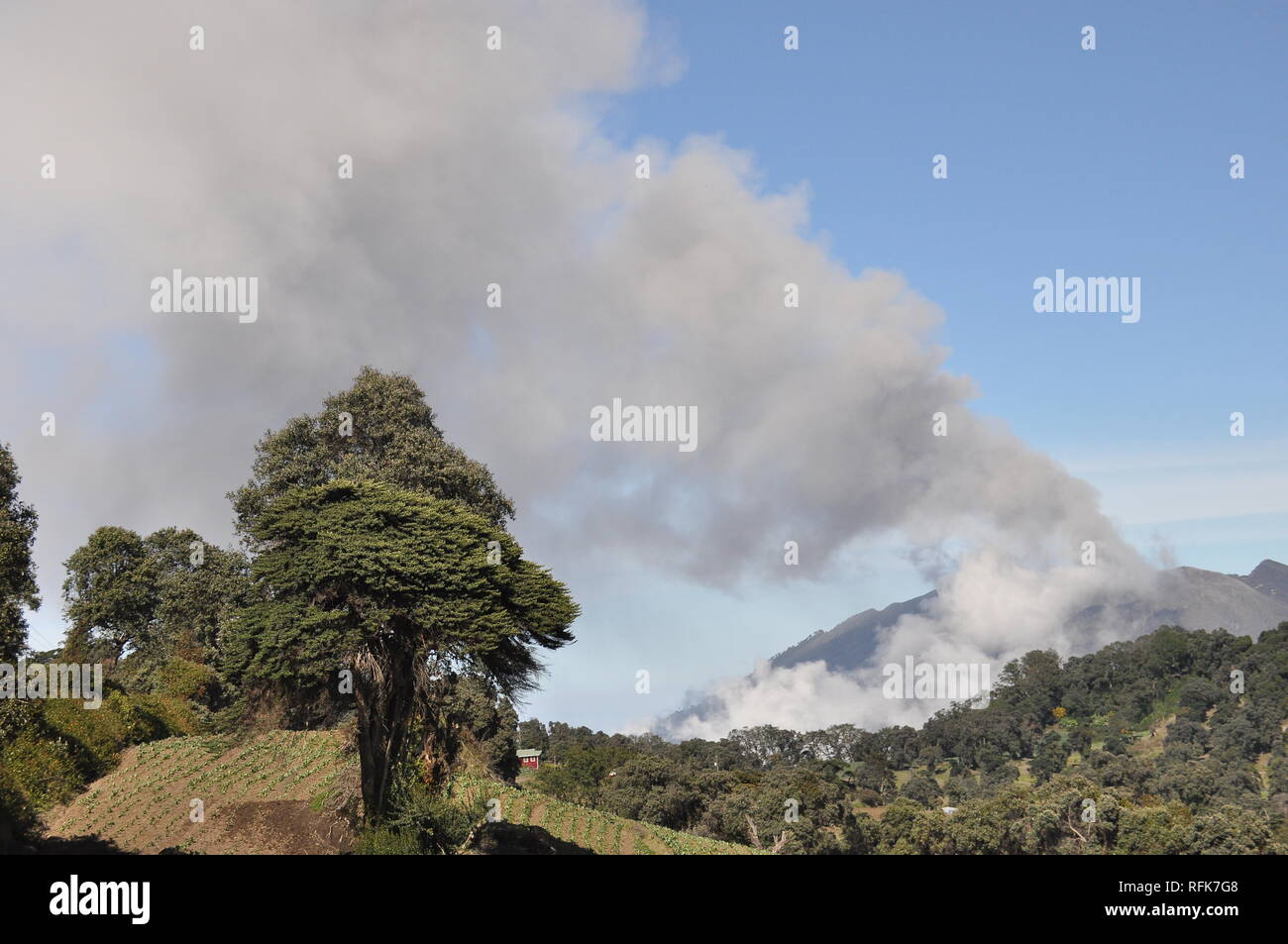 Eruzione del vulcano Turrialba in Costa Rica visto dalla pendenza del vulcano di Irazu. Foto Stock