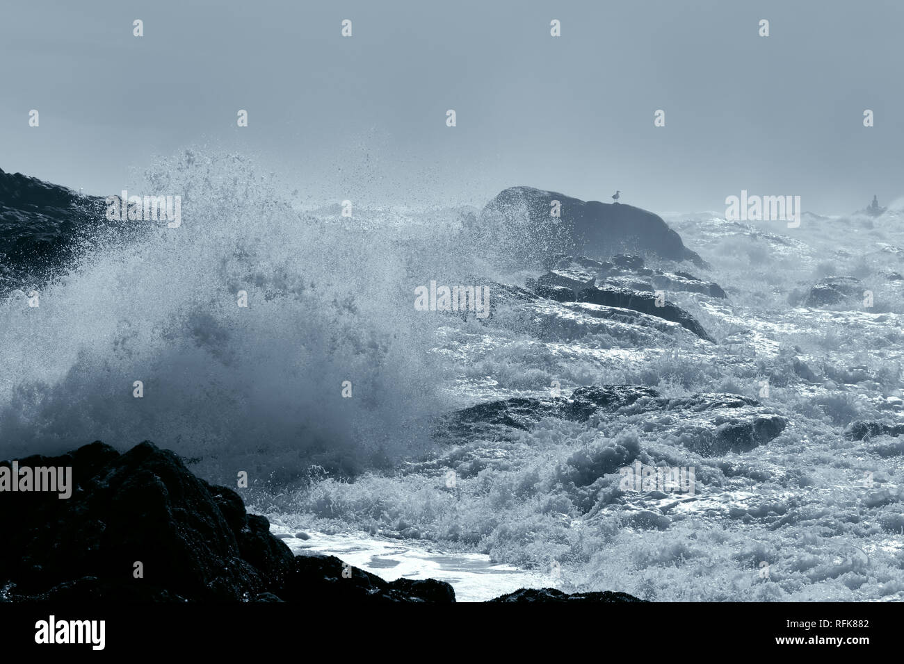 Spiaggia rocciosa e dal nord del Portogallo durante la tempesta Foto Stock