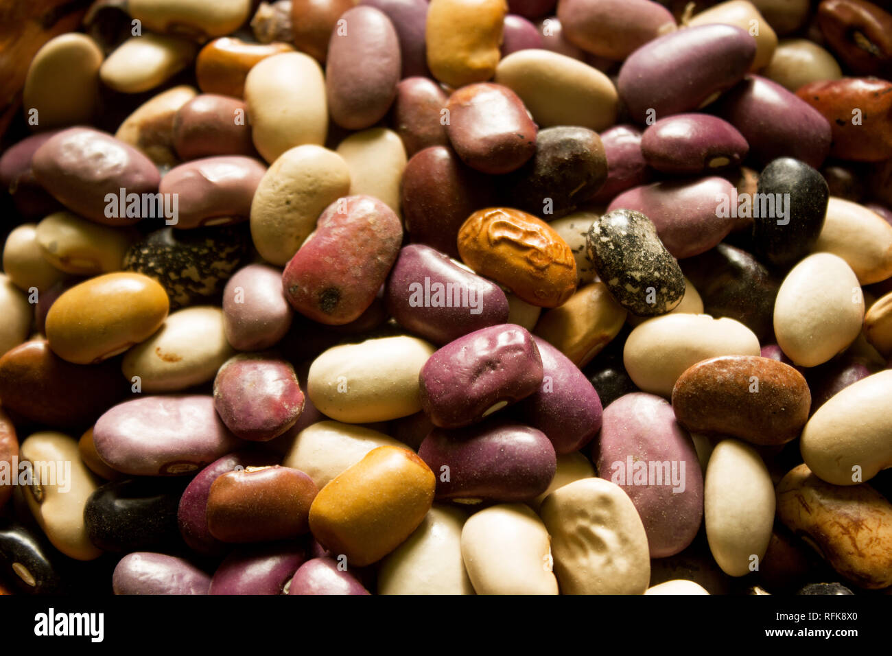 Una chiusura del tipo endemico di fave, fagioli sementi di vari colori Foto Stock