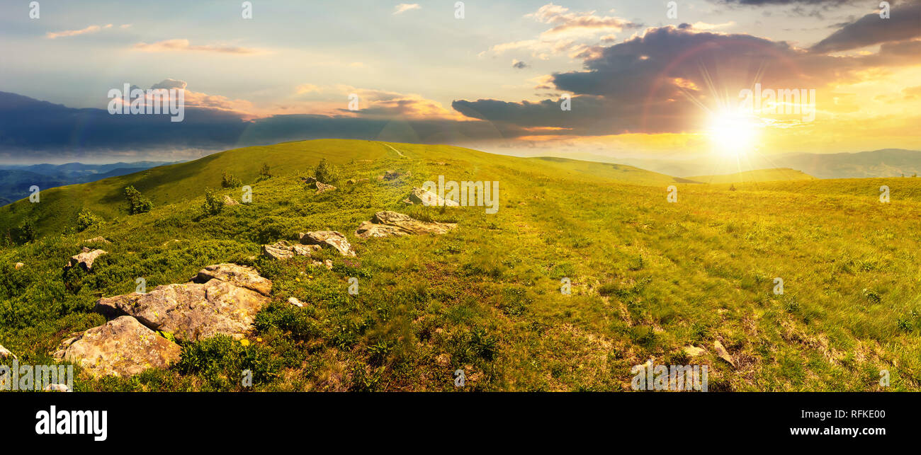 Panorama dei Carpazi bellissimi prati alpini al tramonto nella luce della sera. meraviglioso paesaggio estivo. soffici nuvole sul cielo blu. pietre di e Foto Stock
