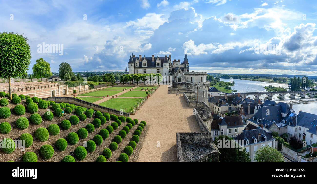 Francia, Indre et Loire, Amboise, castello di Amboise, il giardino, Napoli Terrazza sovrasta la Loira e la città, bosso baleari sfera sagomata // Francia Foto Stock
