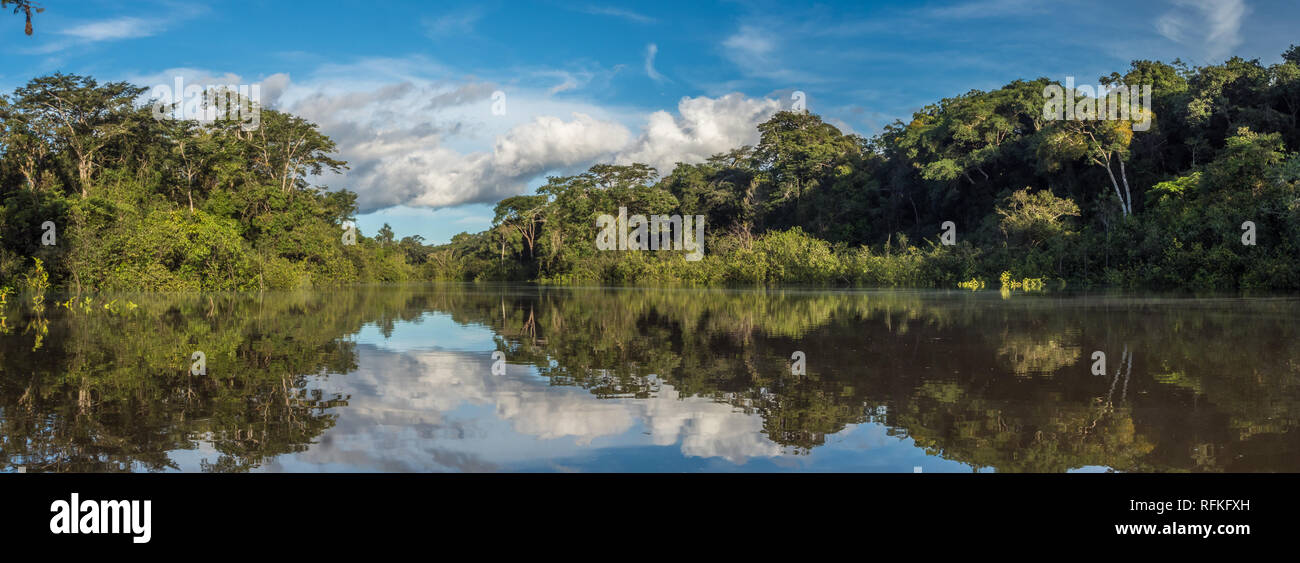 Vista panoramica della laguna Coati vicino al fiume Javari, tributario del fiume Rio delle Amazzoni, Amazonia. Selva sul confine del Brasile e Perù. Sud Ameri Foto Stock