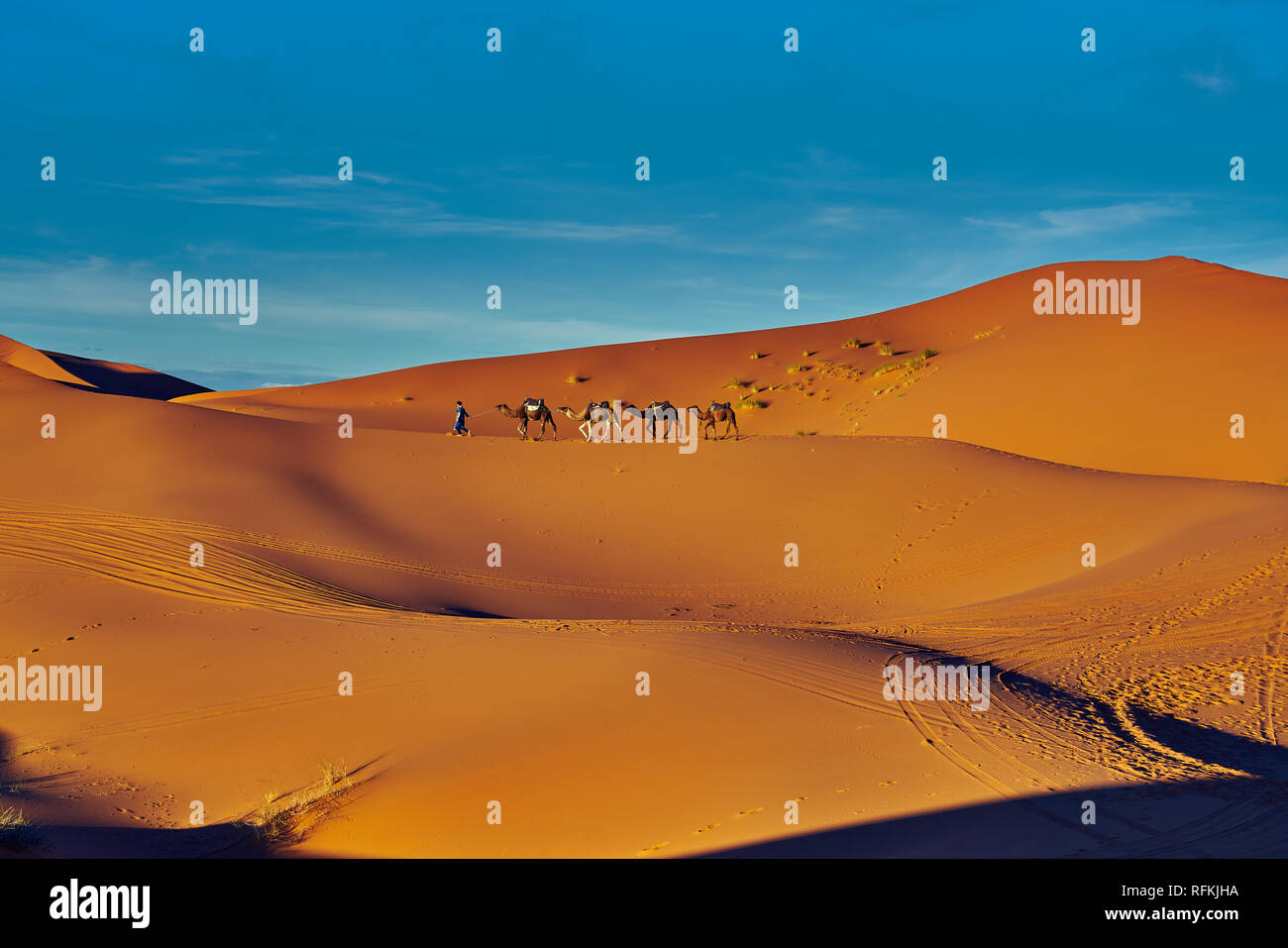 Cammello caravan sotto il sole. La foto del paesaggio desertico è stata scattata a Erg Chebbi, vicino alla città di Merzouga, nel deserto del Sahara, in Marocco. Foto Stock