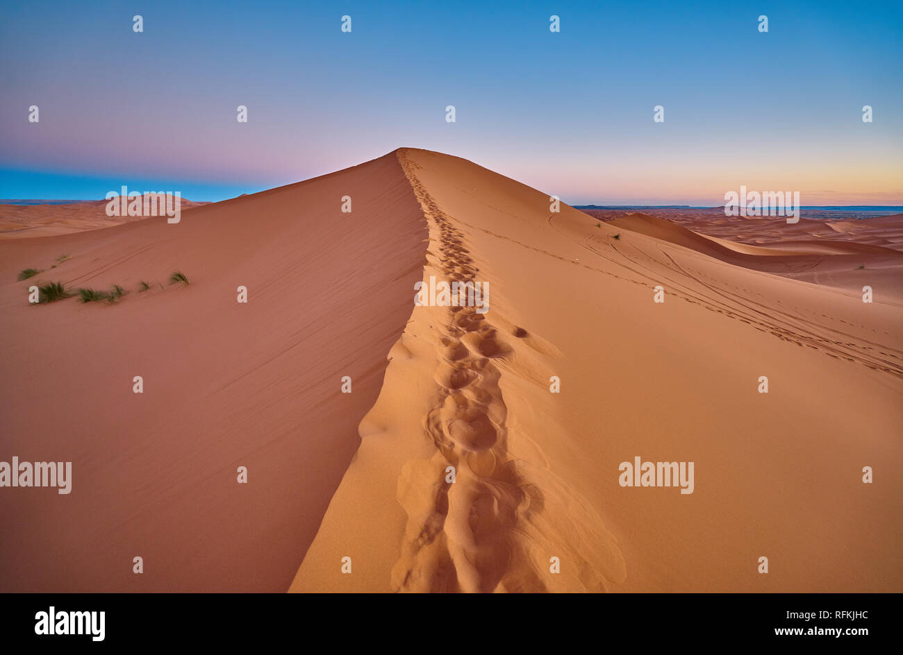 Passi nel deserto prima dell'alba. La foto del paesaggio desertico è stata scattata a Erg Chebbi vicino a Merzouga, Marocco sahariano. Foto Stock
