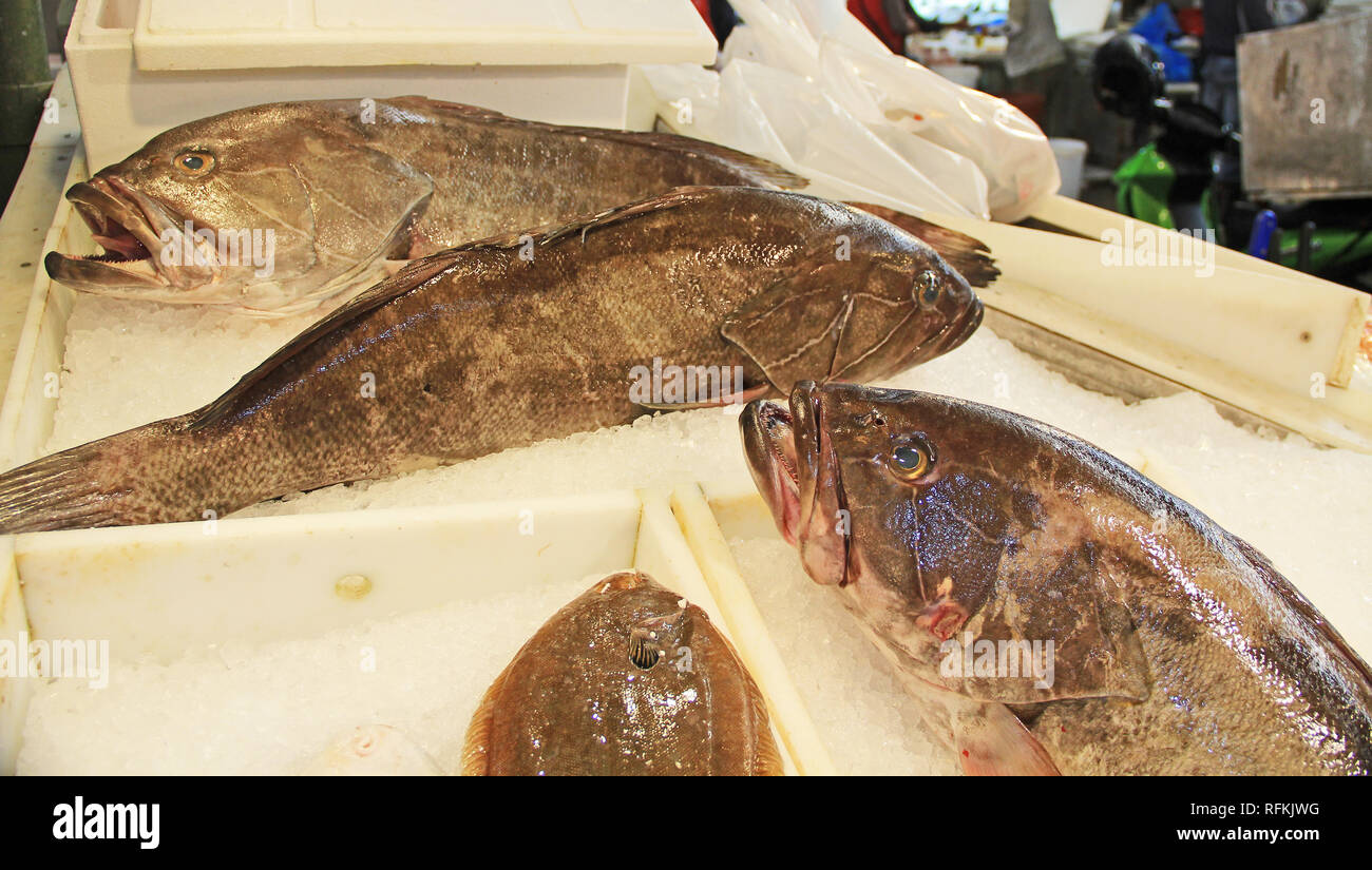 Pesce nel mercato di carne nel centro di Atene, Grecia Foto Stock