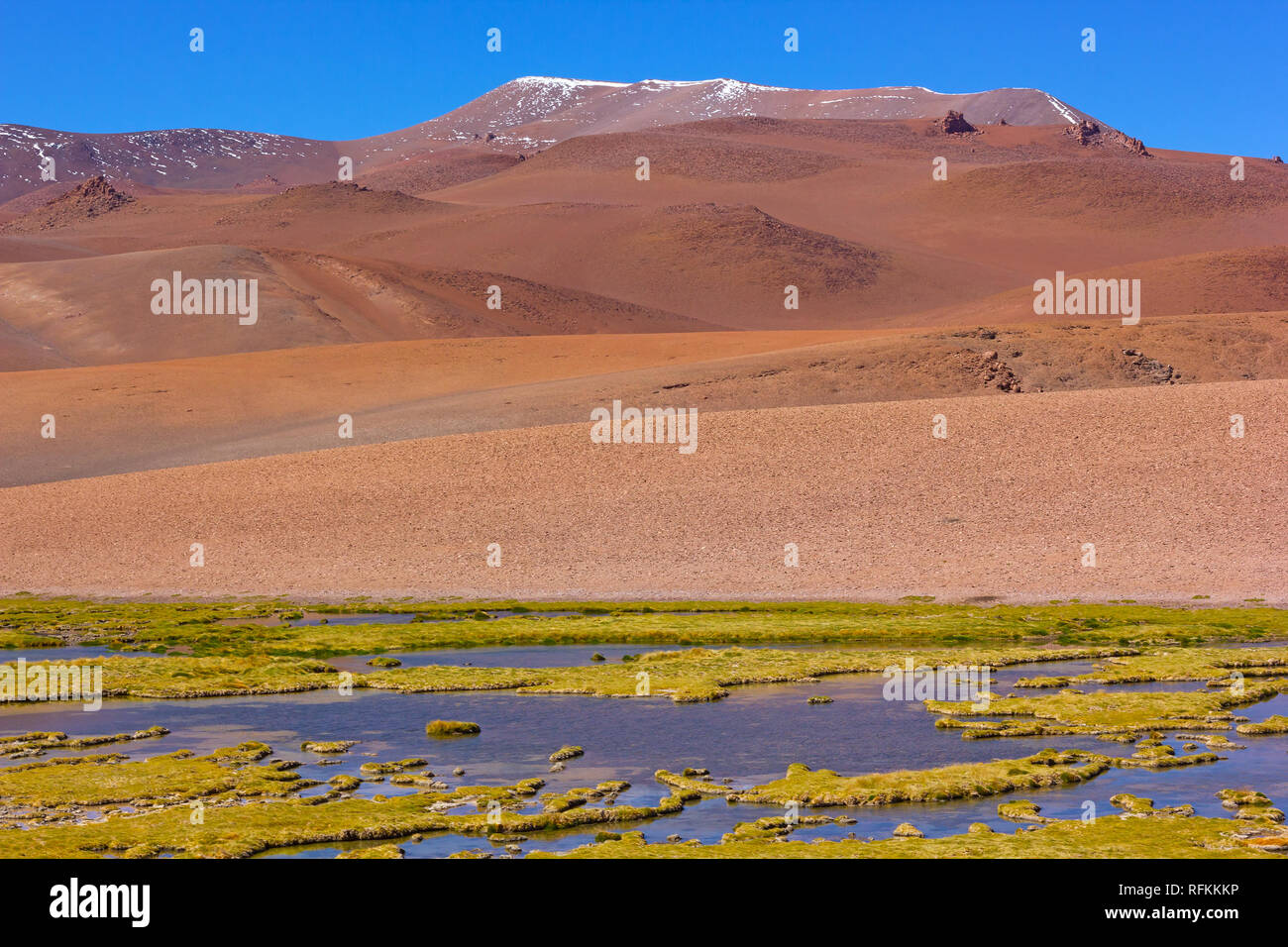 Varietà di paesaggi da montagne vulcaniche sull orizzonte a prateria con piscine di acqua sul primo piano. Diversità geologica del deserto di Atacama, Cile, S Foto Stock