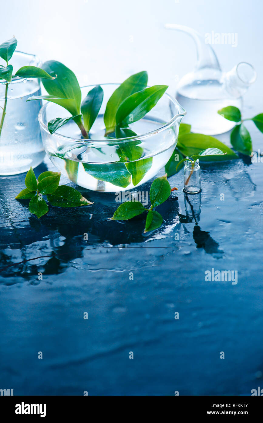 Vasi di vetro trasparenti immagini e fotografie stock ad alta risoluzione -  Alamy