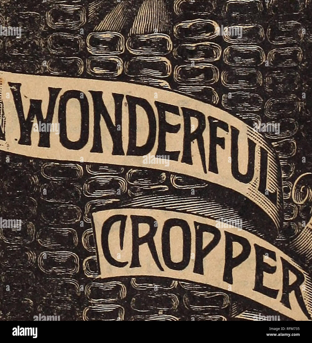 . Agriturismo e guida floreale. Vivai (orticoltura) Minnesota Cataloghi Cataloghi di frutta; semi di fiori cataloghi; piante ornamentali, cataloghi; attrezzi agricoli cataloghi. 3 m icrts "EoRYRiciria" , k RECORD ineguagliabile. pred Rose, Yates County, N. Y., sollevata 213 bushel di sgusciate mais Mastadon su un acro. Una resa più pesante da oltre vent-flve Per cento rispetto a qualsiasi altra varietà. j siamo fieadquarters per CW$ mais. *Smr alimentato Newman, traghetto, Mich, scrive: Da quattro quarti del vostro Mastadon precoce del granoturco da seme 1 sollevata 98 bushel. Il vostro seme dà soddisfazione perfetta. Non crescono una scarsa ottenendo Co Foto Stock
