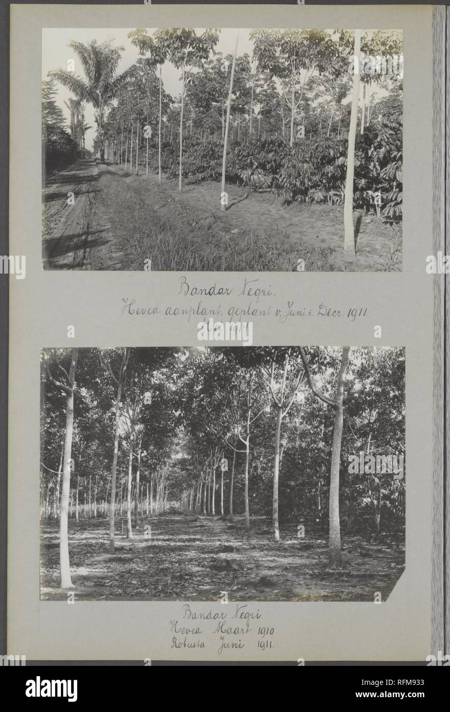 Bandar Negri. Boven Hevea-aanplant geplant van juni tot Dicembre 1910. Mei 1914, Bestanddeelnr 847 15. Foto Stock