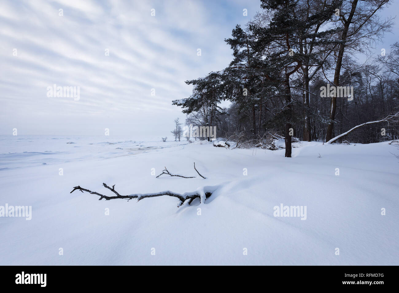 Fantastico paesaggio invernale. Parco nazionale. La Russia, l'Europa. Bellezza Mondo. Foto Stock