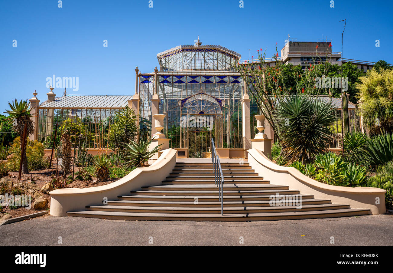 Adelaide Botanic Garden 1877 palm house vista esterna di una serra vittoriana in Adelaide Australia SA Foto Stock