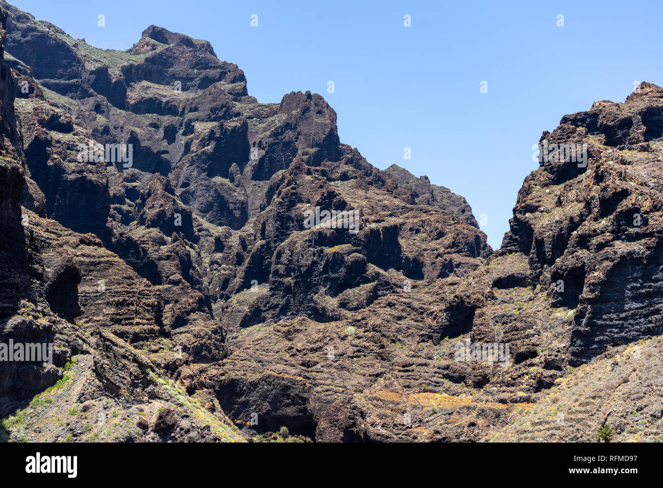 Scogliere verticali Acantilados de Los Gigantes (Rupi dei Giganti). Vista dall'Oceano Atlantico. Tenerife. Isole Canarie. Spagna. Foto Stock