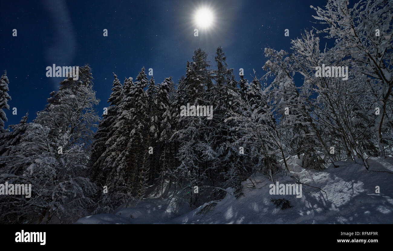 Luna piena notte invernale da favola Foto Stock