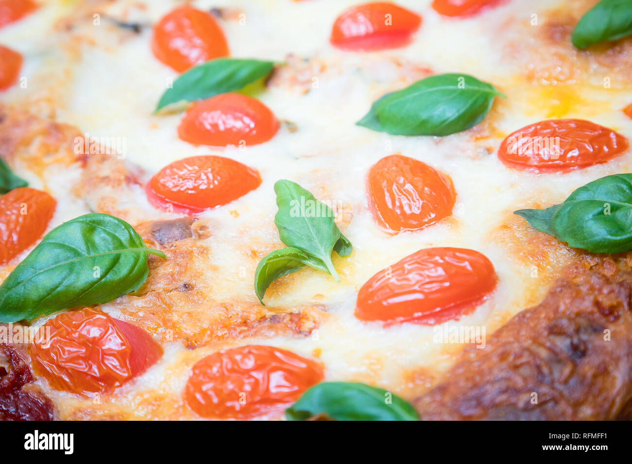 Close up appena eseguito Lasagne Vegetariane decorate con pomodoro, formaggio ed erbe aromatiche Foto Stock