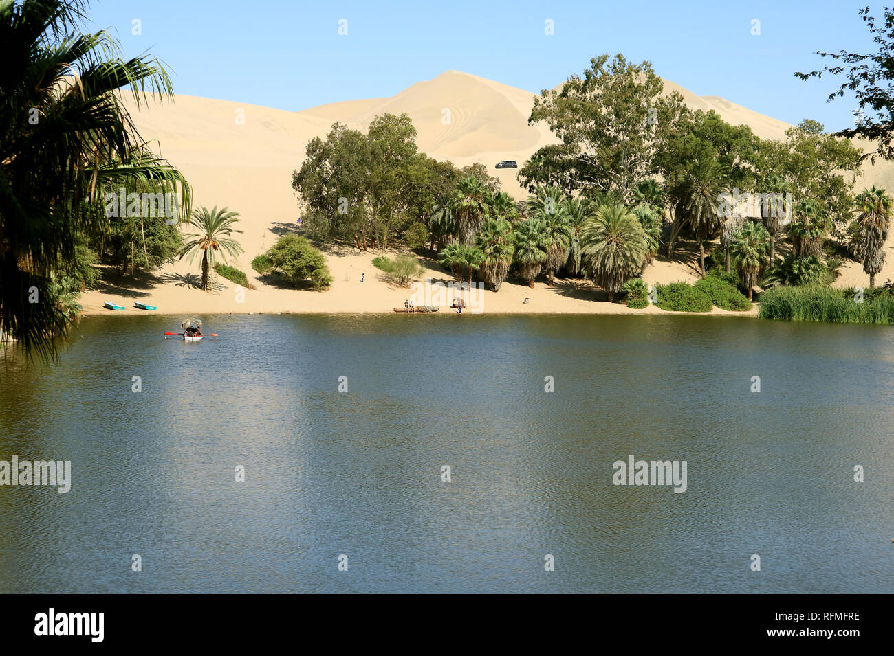 La laguna naturale a Huacachina oasi cittadina circondata da alberi di palma e incredibili dune di sabbia, Ica regione del Perù, Sud America, la bellezza della natura Foto Stock