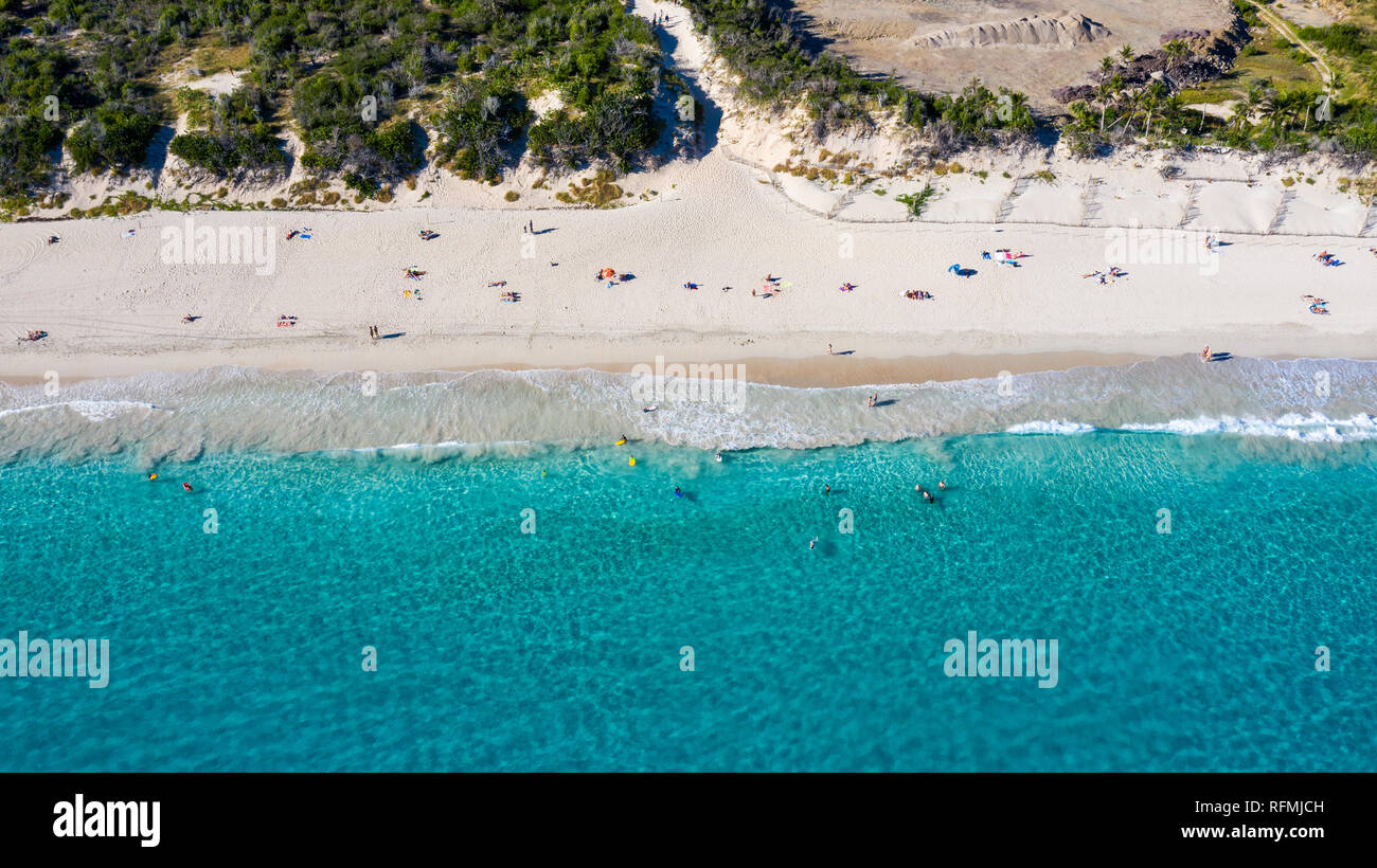 Anse de grande soluzione salina o Salines spiaggia, San Bartolomeo o St Barths o St Barts, Mar dei Caraibi Foto Stock