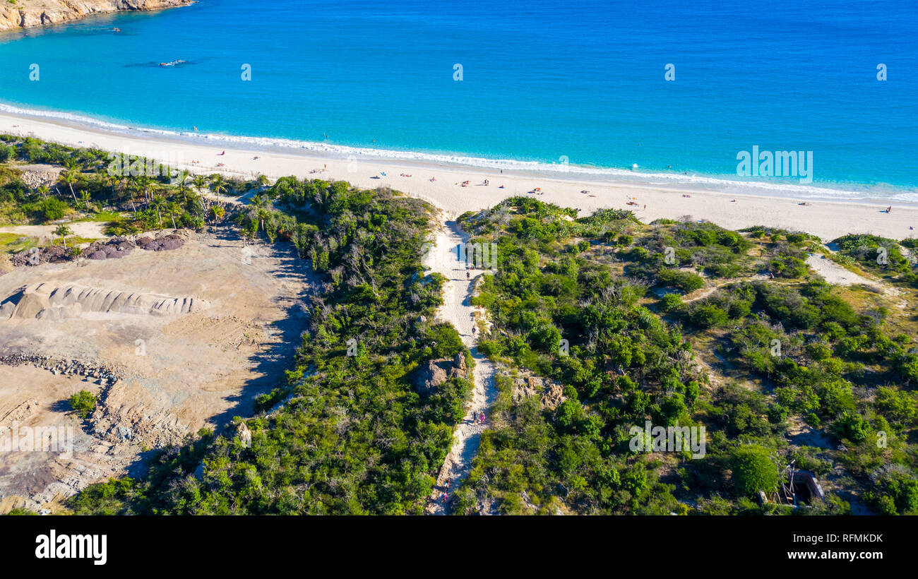 Anse de grande soluzione salina o Salines spiaggia, San Bartolomeo o St Barths o St Barts, Mar dei Caraibi Foto Stock