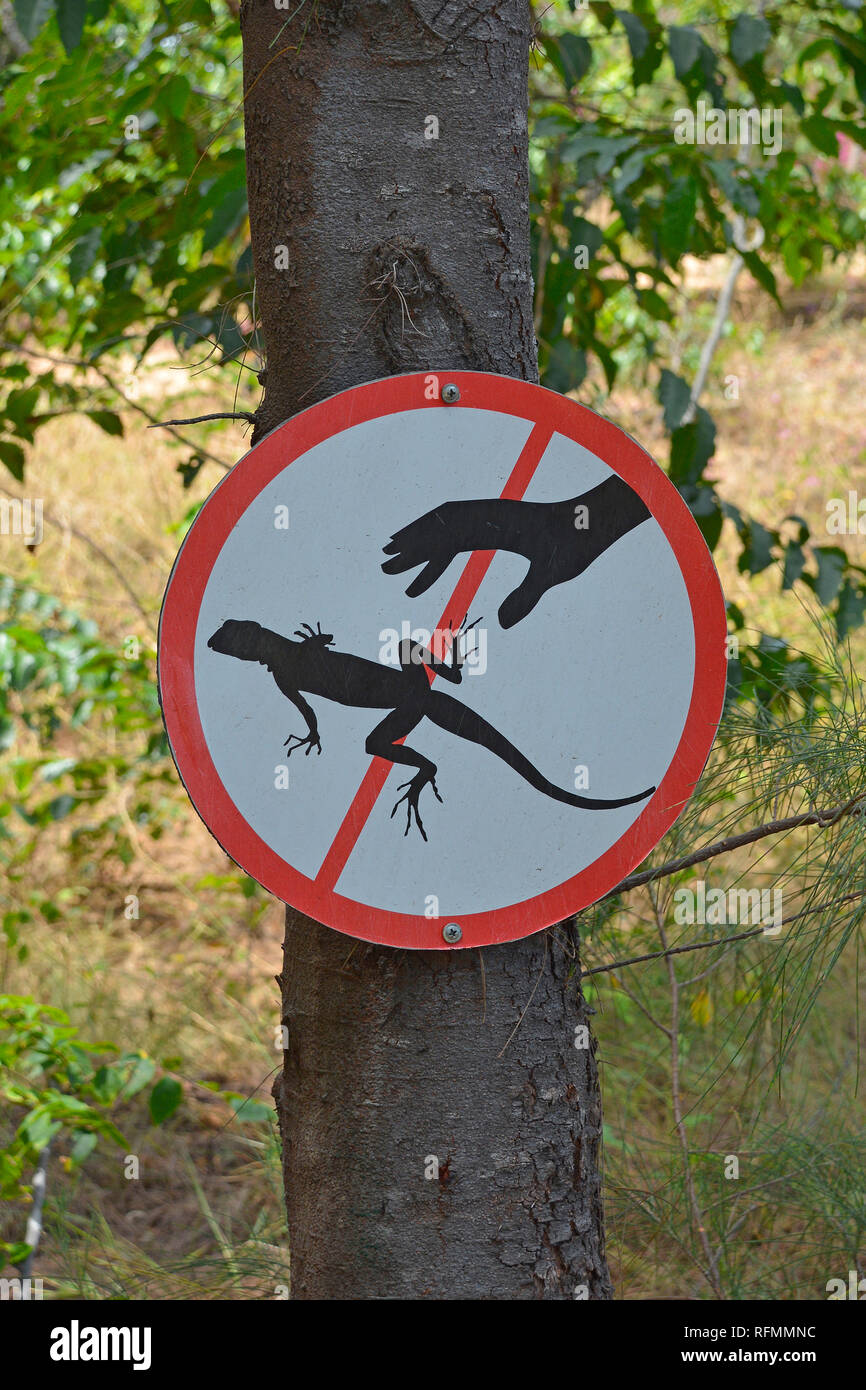 Un segno nel Bong Lai o suoi Tre Red Canyon vicino a Mui Ne in south central Bình Thuan Provincia, Vietnam raccontano ai visitatori di non toccare le lucertole Foto Stock