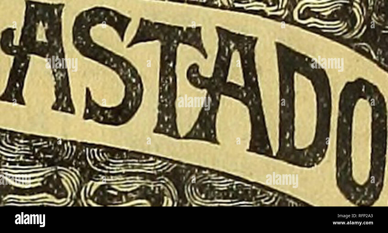 . Agriturismo e guida floreali : semi, piante, lampadine, frutta e patate da semina. Vivai (orticoltura) Minnesota San Paolo cataloghi; piante ornamentali, cataloghi; semi di ortaggi Cataloghi Cataloghi di frutta; fiori Semi cataloghi; Vivai (orticoltura); piante ornamentali,; Verdure; frutta; fiori. R secondo UfiEQUAUED. Alfred Rose, Yates County, N. Y., sollevata 213 bushel di Mastadon sgusciate Cora su un acro. Una resa più pesante da oltre venticinque per cento. Rispetto a qualsiasi altra varietà. La meraviglia del mondo di mais. Sin dalla sua introduzione più sementi di tale varietà ha<s i,.™ ""u introdotto, e più b Foto Stock