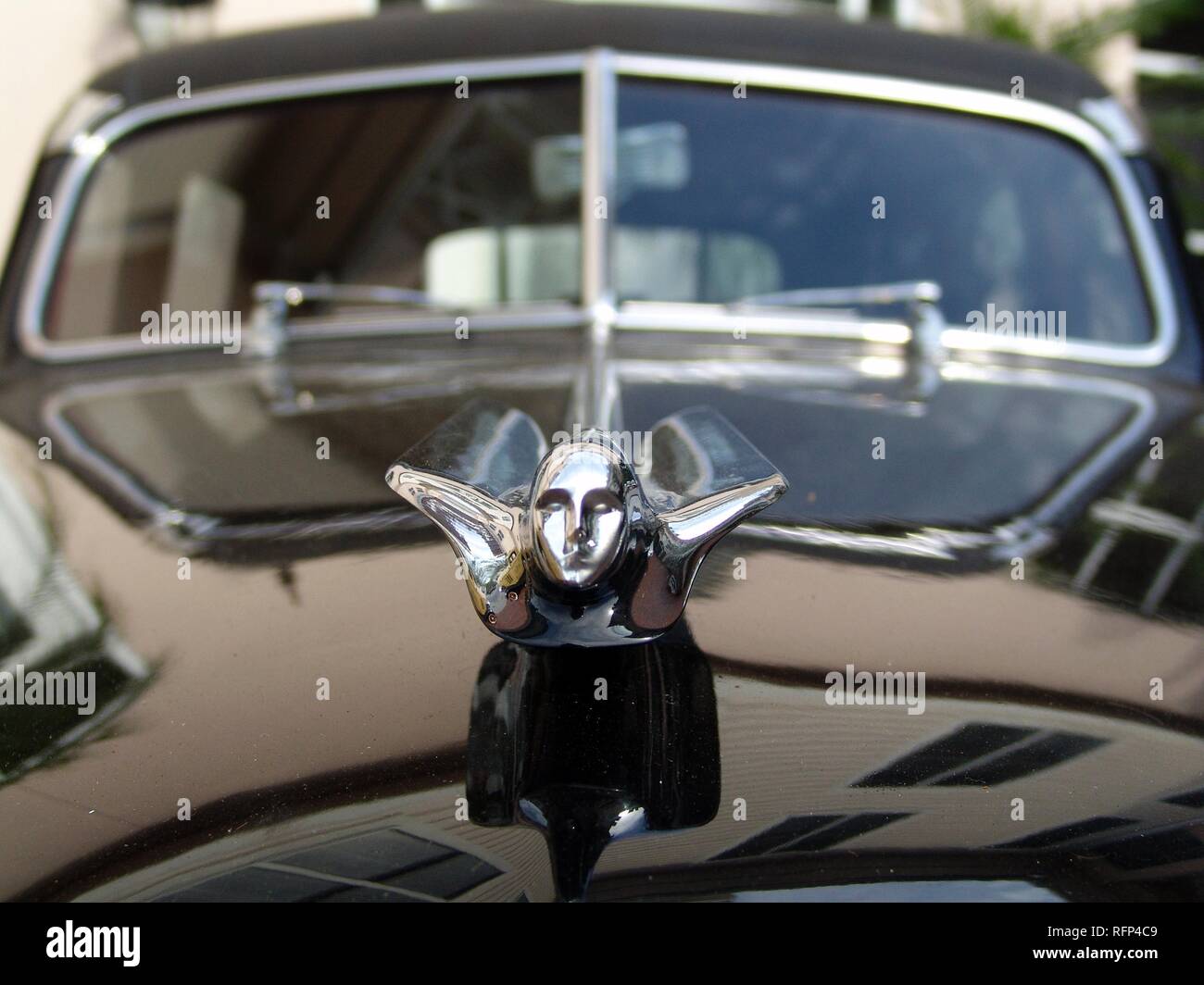 54er Cadillac, ornamento del cofano, Florida, Stati Uniti d'America Foto Stock