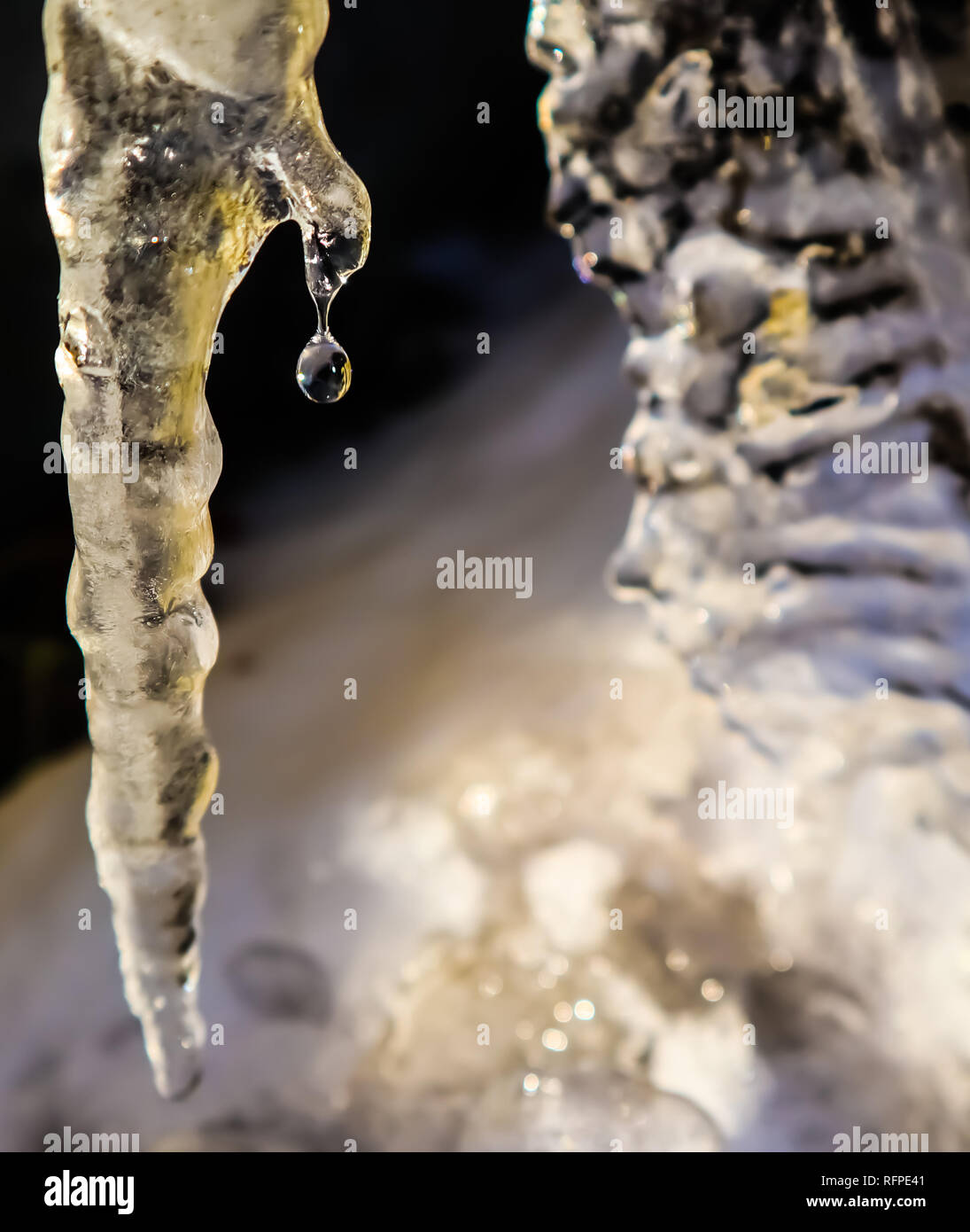 Shining goccia di acqua che cade da un ghiacciolo su sfondo nero Foto Stock