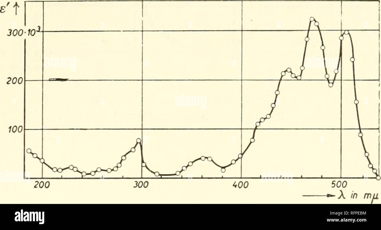 . I carotenoidi. I carotenoidi; carotenoidi. Luce le curve di assorbimento di alcuni carotenoidi. Fig. 4. Il licopene in esano* Z. Angew. Chem. 4j (1934) 664 logt." 5.0 4.5 i.O 3.5 300 350 400 450 500 â X rrtL in Fig. 5. y-carotene in esano (- Ber. 66 (1933) 408 e disolfuro di carbonio (- * b' è il coefficiente di estinzione molare dato dall'e' = 2.3/c/ x log (lo/I), dove lo = intensità di luce incidente, 1= intensità di luce trasmessa, c~ concentrazione in gm.-moli/l e ^= lunghezza di cella in cm.. Si prega di notare che queste immagini vengono estratte dalla pagina sottoposta a scansione di immagini che possono essere state migliorate digitalmente per leggere Foto Stock