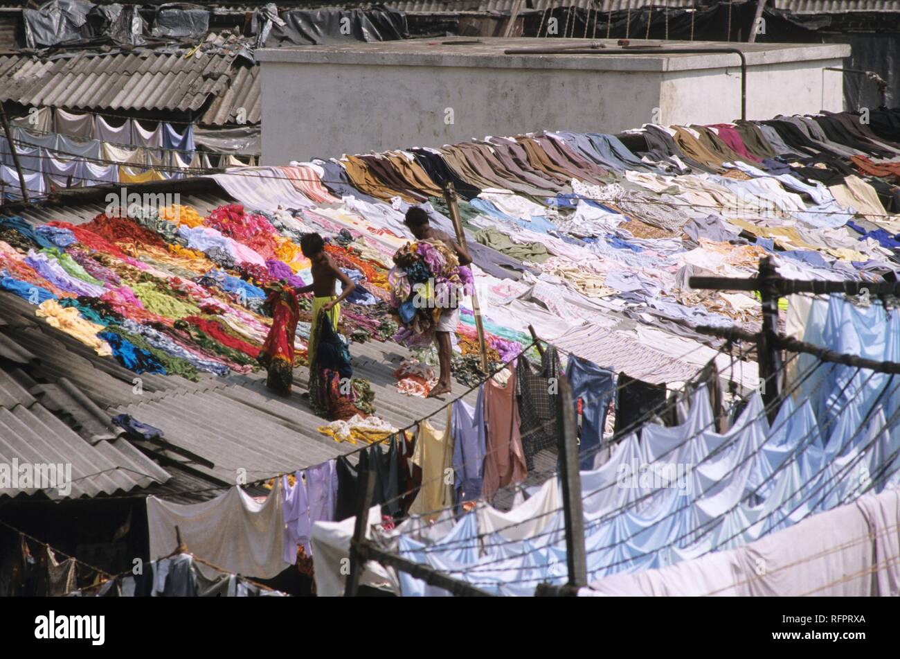 Mahalakshmi Dhobi Ghat, un grande distretto di lavanderia, Mumbai, India Foto Stock