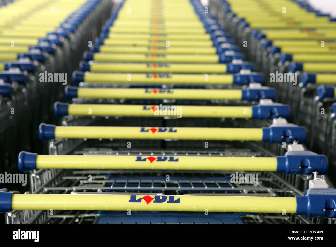 DEU, Germania, Dortmund: carrelli della spesa in un supermercato della tedesca Lidl gruppo discount. Foto Stock